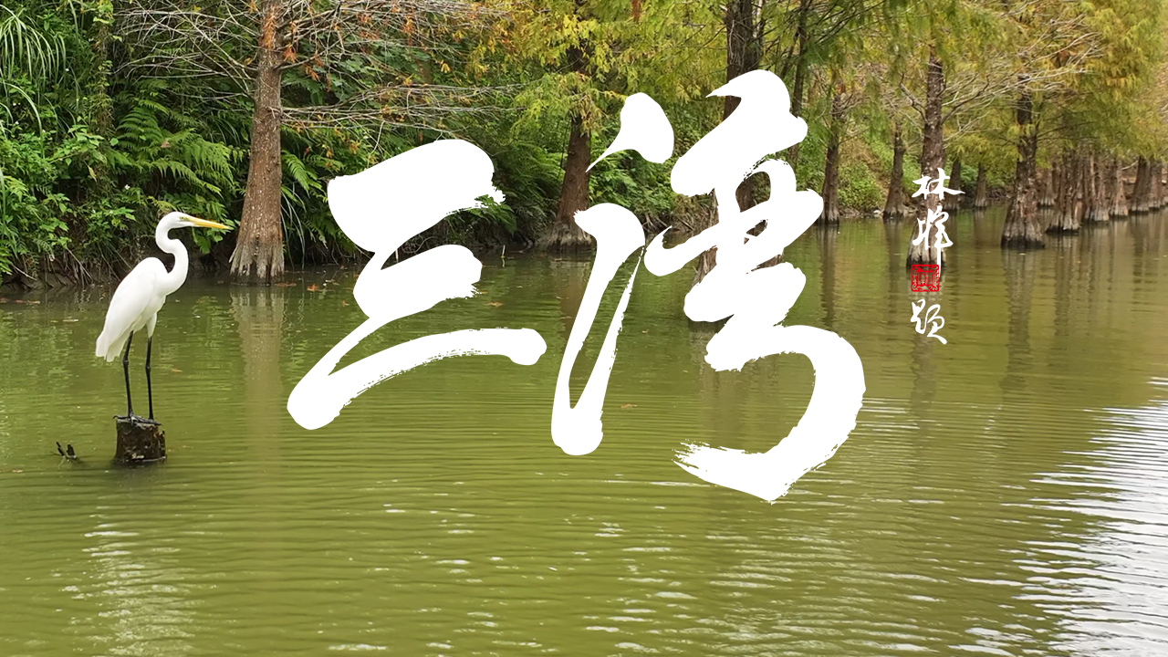 category